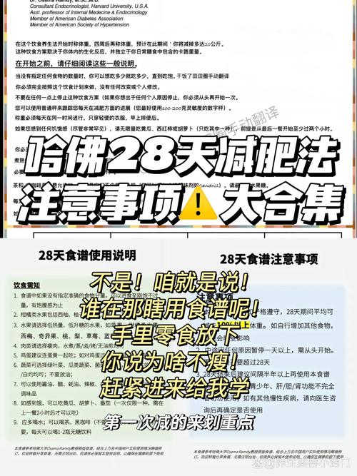 减肥过程中有哪些关键事项是必须了解的？