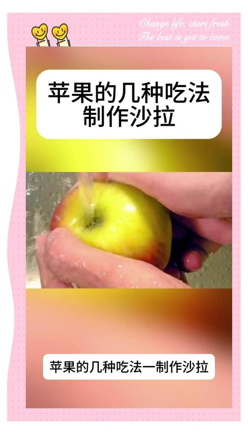 如何制作美味一天苹果减肥餐的DIY食谱？