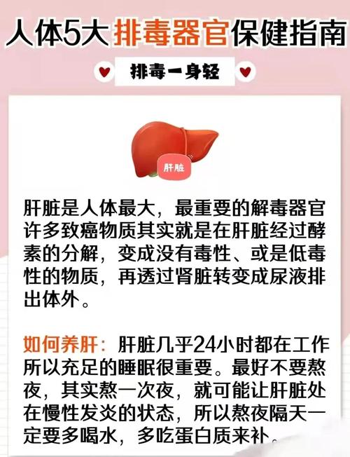 如何通过由内至外大清理，给身体实现彻底排毒呢？