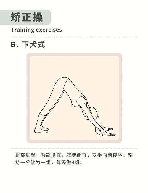 如何通过练习这些动作有效纤细手臂，击退拜拜肉？