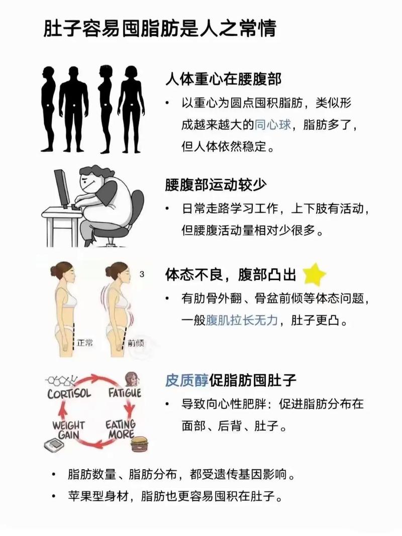 为什么肚子容易堆积赘肉，竟是这个原因？