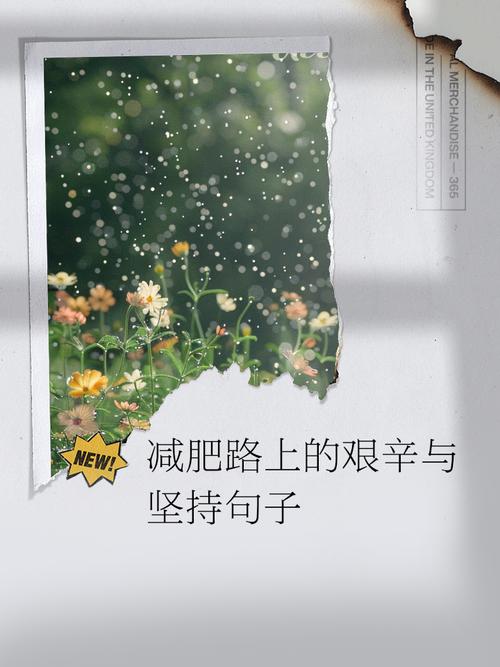 减肥路上这么辛苦，难道真的要轻言放弃吗？