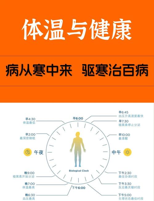 体温下降与减肥效果之间是否存在某种关联？