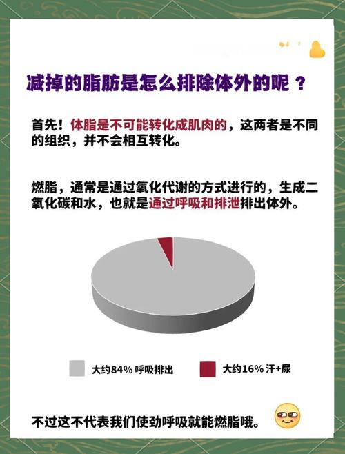 出汗量与锻炼效果之间是否存在正相关关系？