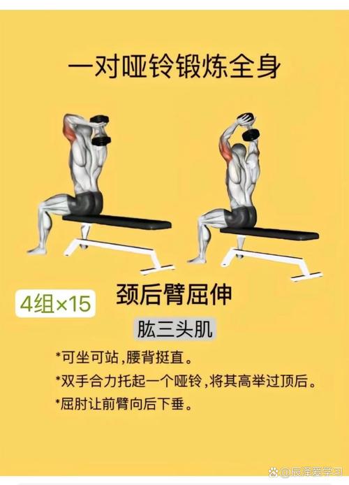 清晨哑铃操能唤醒新陈代谢吗？