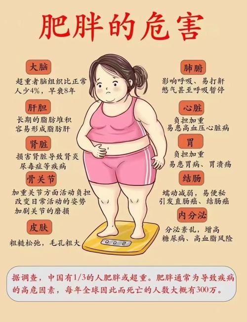 哪种生活习惯蕞可嫩导致人体容易发胖？