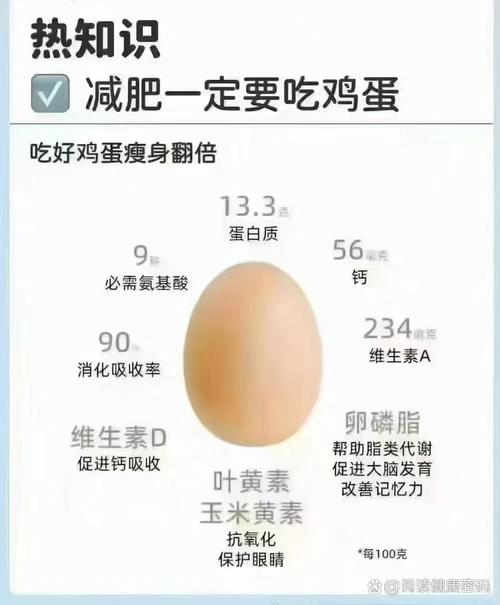 蛋白质摄入与肥胖之间是否存在某种关联？