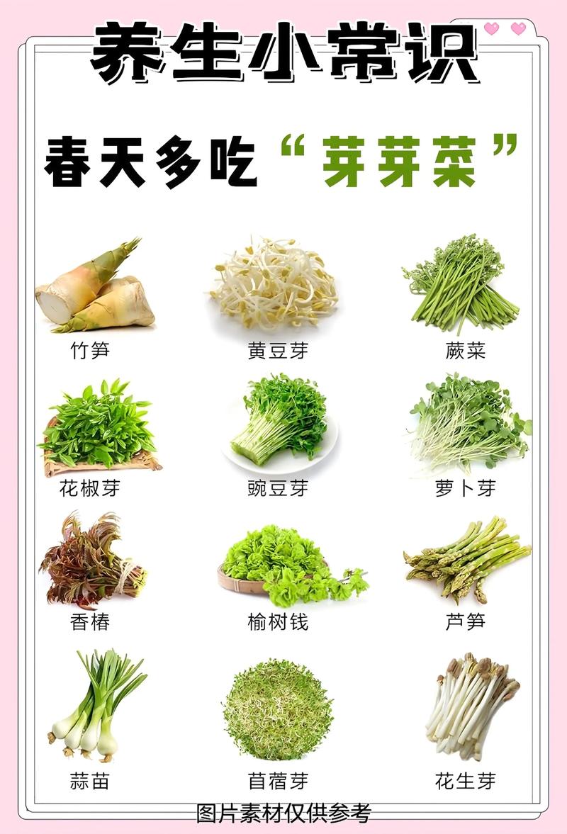 春季饮食中，哪些蔬菜是多吃有益的？