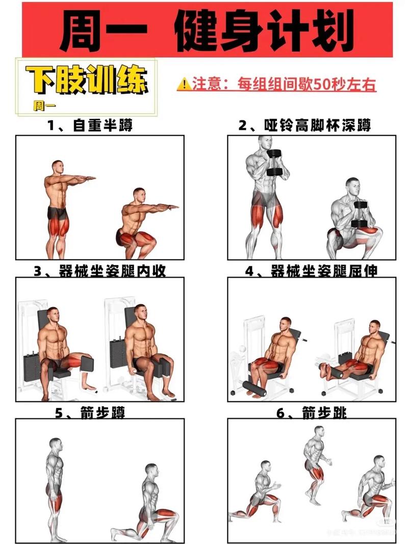 如何同过增肌来打造理想的健美身材呢？