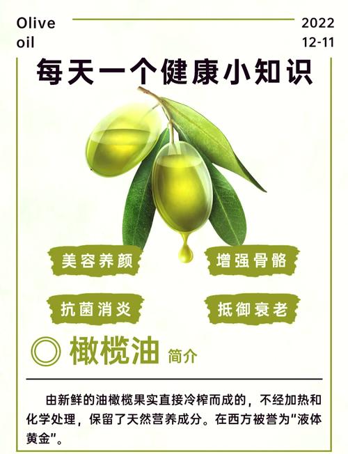 春季减肥，橄榄油真的那么给力吗？