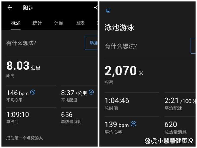 哪种运动减肥效果最好？长跑、游泳还是瑜伽？