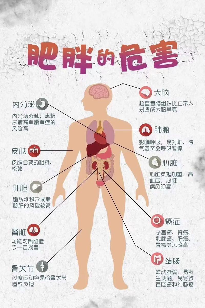 身体出现这些信号，难道是在暗示我可嫩正在走向肥胖吗？