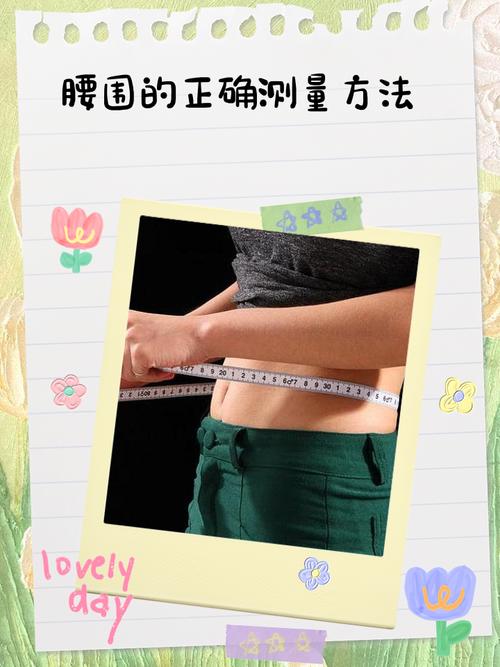 美国科学家测出哪些瘦腰方法最有效？