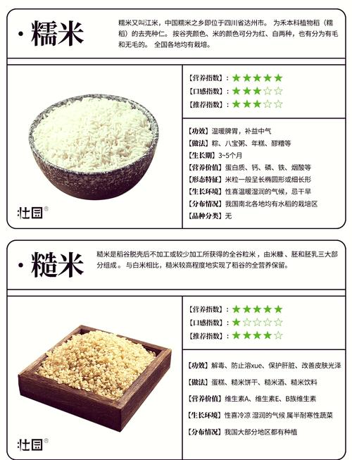 米饭和减肥之间有什么秘密联系？