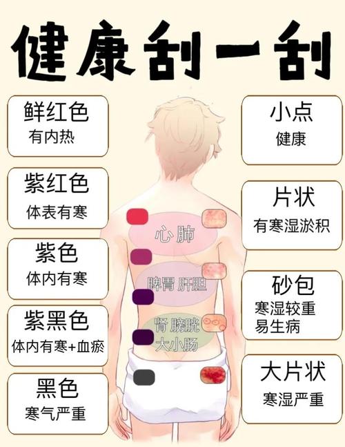 刮痧和食疗相结合，真的能达到一级棒的减肥效果吗？