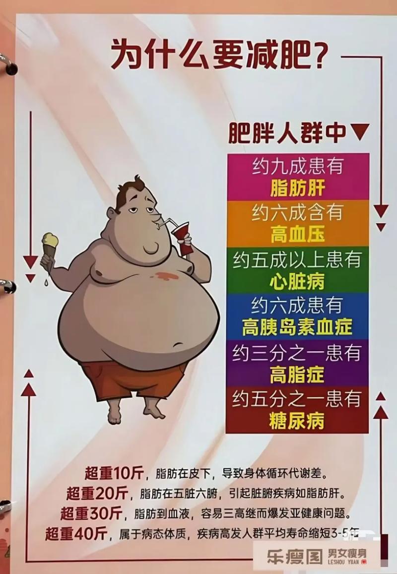 为什么大多数肥胖者会同时患有脂肪肝呢？