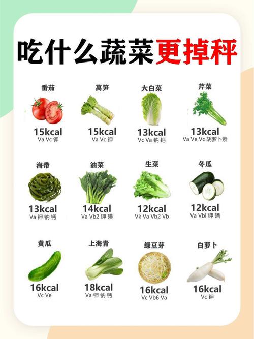 哪些蔬菜适合肥胖人群食用？