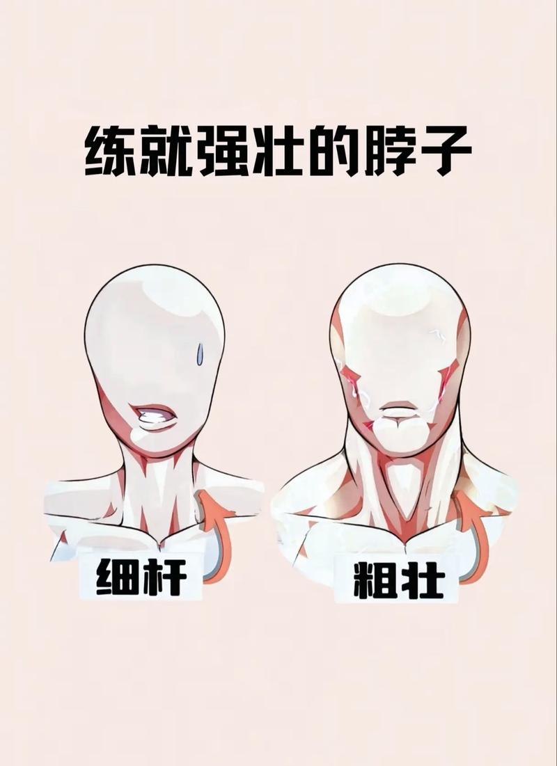 如何同过颈部的健美运动来提升颈部线条和力量？