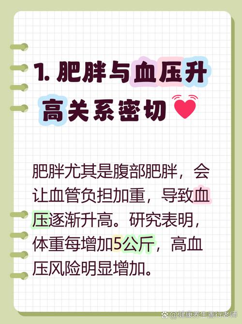 腹部肥胖真的会导致高血压吗？