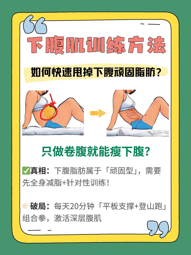 如何将腹部脂肪有效转化为腹部肌肉？