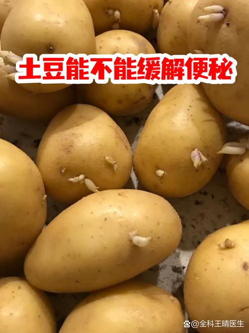 男子60天只吃土豆嫩减掉9.5公斤吗？