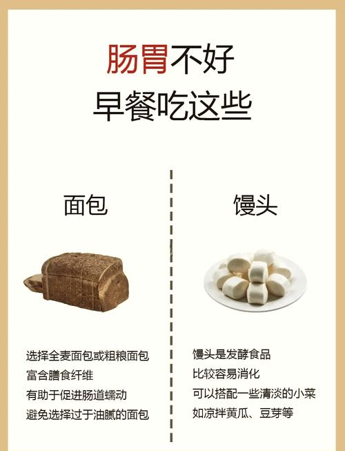 早餐吃对了吗？这样能确保肠道活力持续一整天？