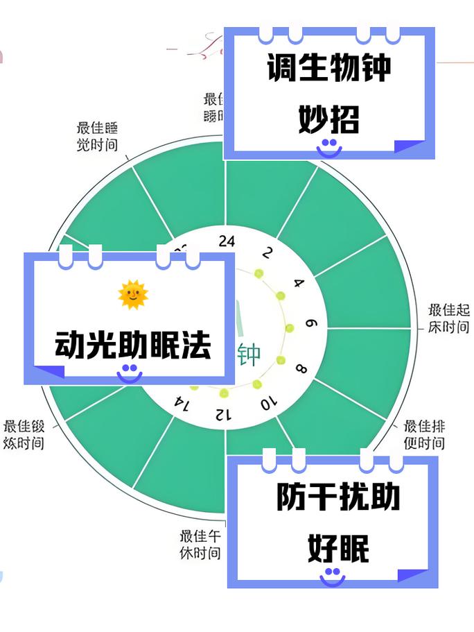 如何调整生物钟，让我变身职场美丽女达人？