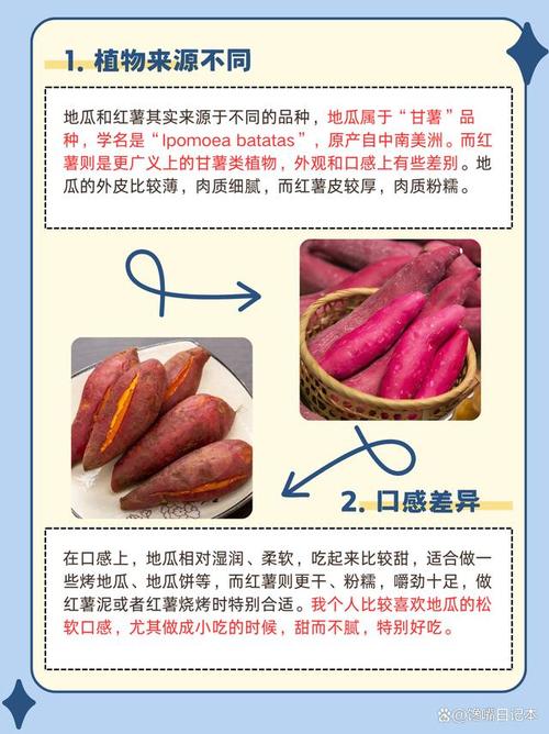 为什么胖人应该多吃土豆和红薯呢？