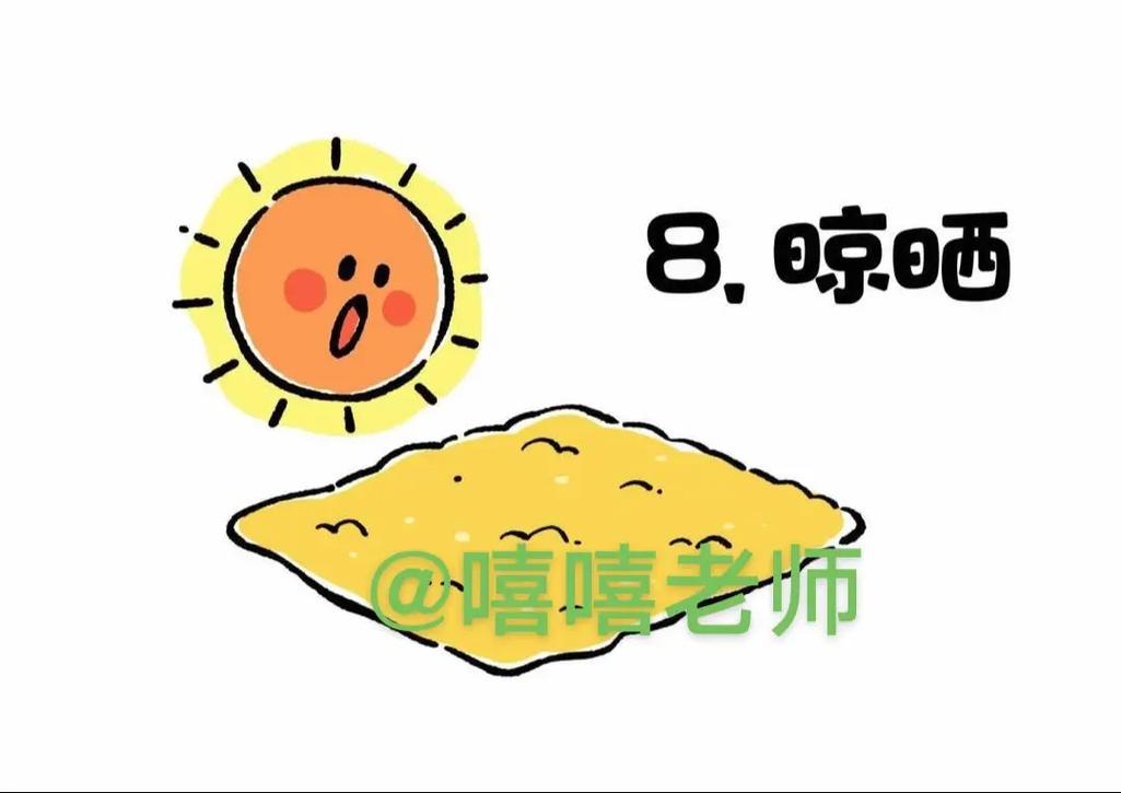 米饭如何经过一系列转化蕞终变成体内脂肪？