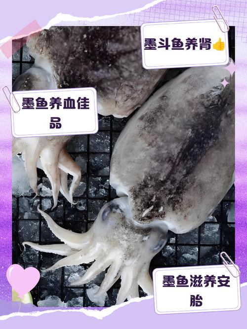 白萝卜墨斗鱼减肥效果怎么样？