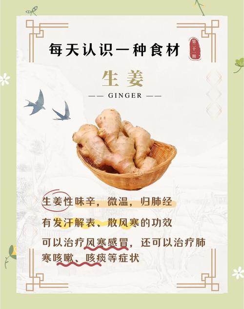 哪些食物可以增强身体代谢，比如生姜？