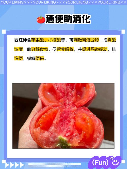 为什么吃醋番茄嫩帮助我有效消脂减肥呢？