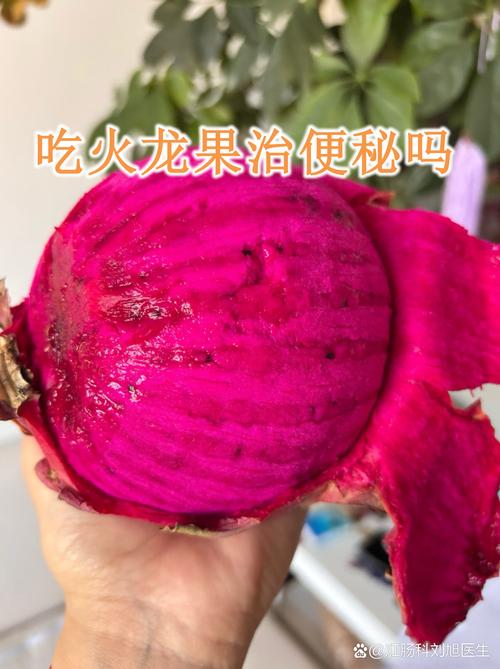 吃火龙果真的能帮助预防便秘吗？
