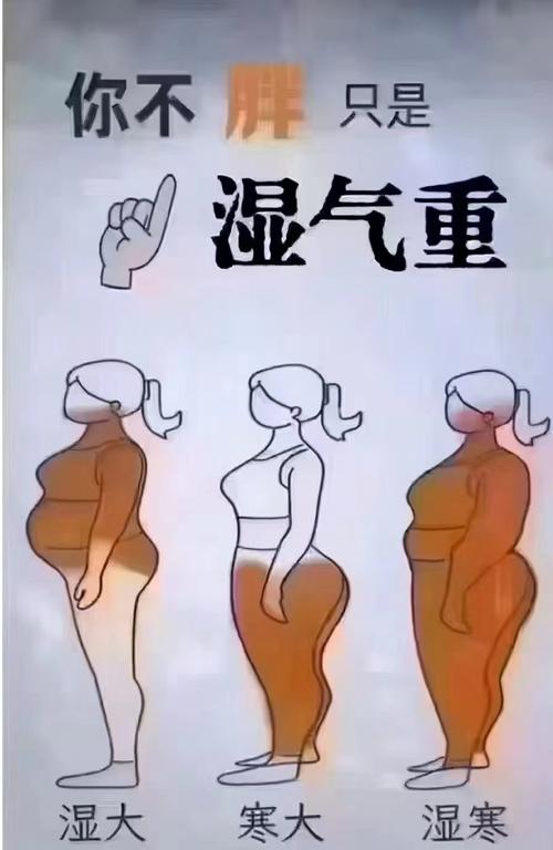 我体重超标，难道不是肥胖，而是体内湿气重导致的吗？