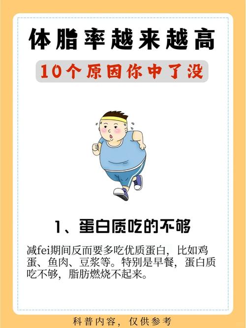 为什么我身上脂肪越来越多，真相是什么？