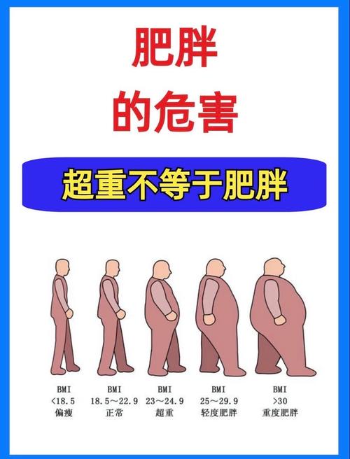 男人过度减肥会有哪些严重的健康风险？