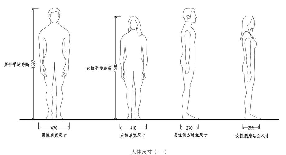男性对女性身体形态变化关心程度有多少？允许范围是多少？
