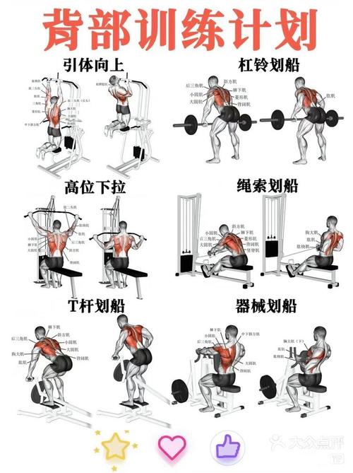 如何制定男人美背塑造计划的全攻略？