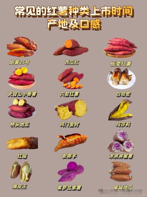 哪种红薯减肥法嫩带来极好的瘦身效果？