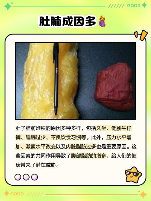 身体里隐藏的脂肪秘密是什么？