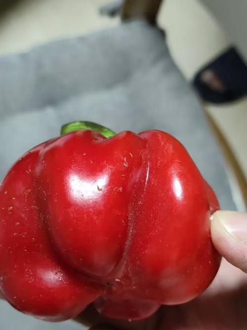 甜椒的惊人减肥效果，竟然鲜为人知，这是真的吗？