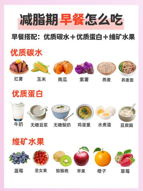 节食期间，哪些营养素是必须补充的？