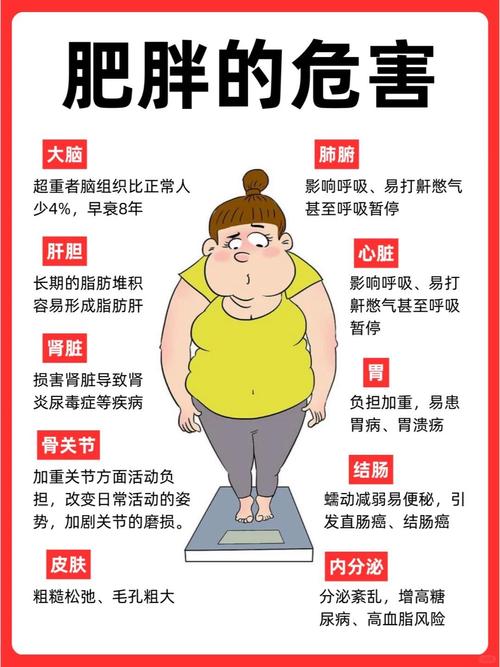 吃得太饱，难道只会变胖，不会加速衰老吗？