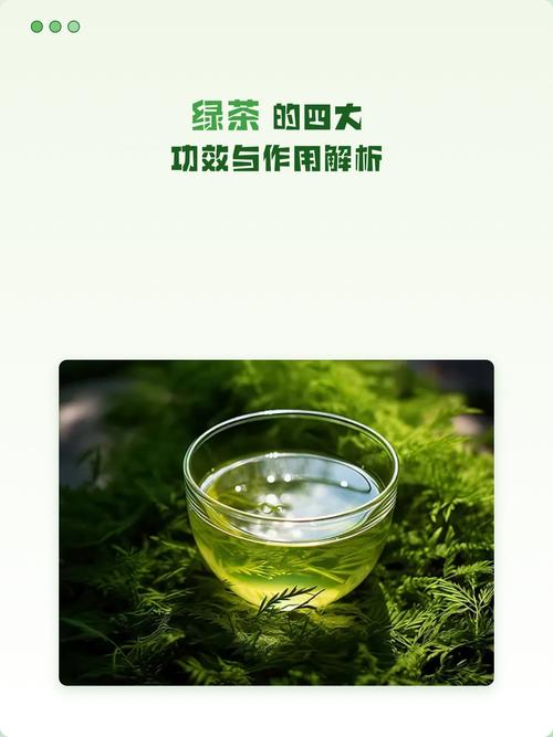 喝绿茶真的有助于减肥吗？这是不是科学家的最新发现？