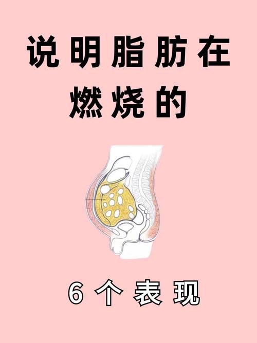 人体饥饿时脂肪燃烧的过程是怎样的？