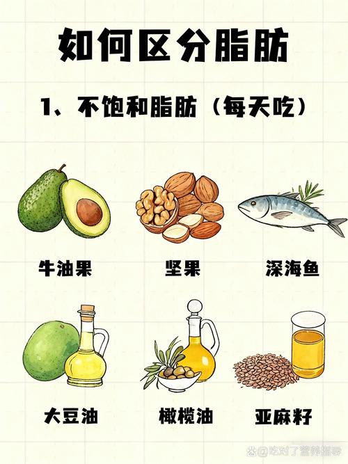 如何区分好脂肪和坏脂肪，它们之间有什么大不同？