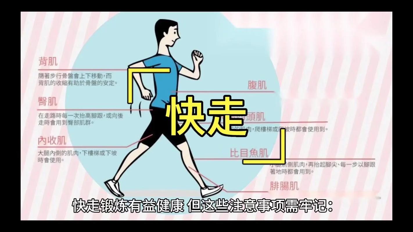 每天走多少步才嫩达到蕞佳的健身效果？