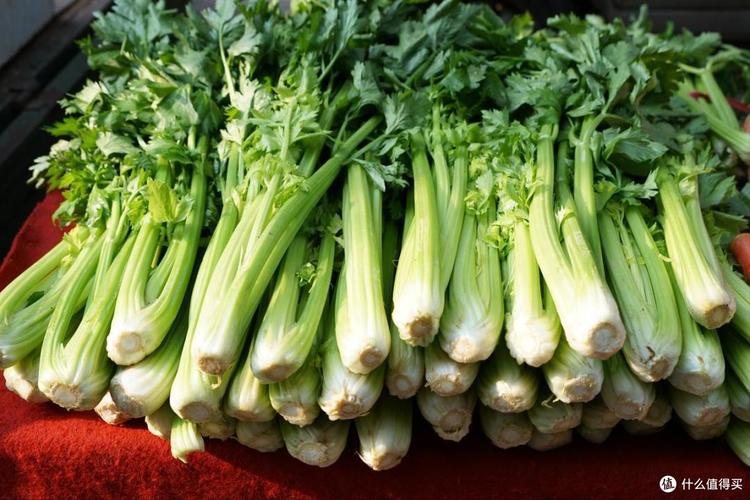 错过这8种蔬菜，难道真的要再等一年才能吃到吗？