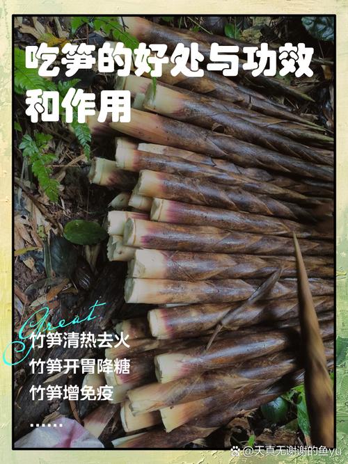 吃竹笋真的有助于减肥和增强肠道蠕动吗？