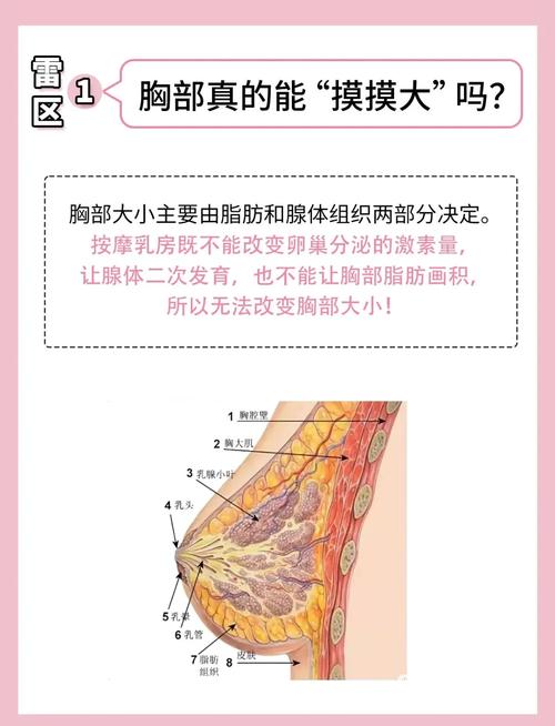 如何避免成为娱乐族中最易犯三个错误的典型代表？